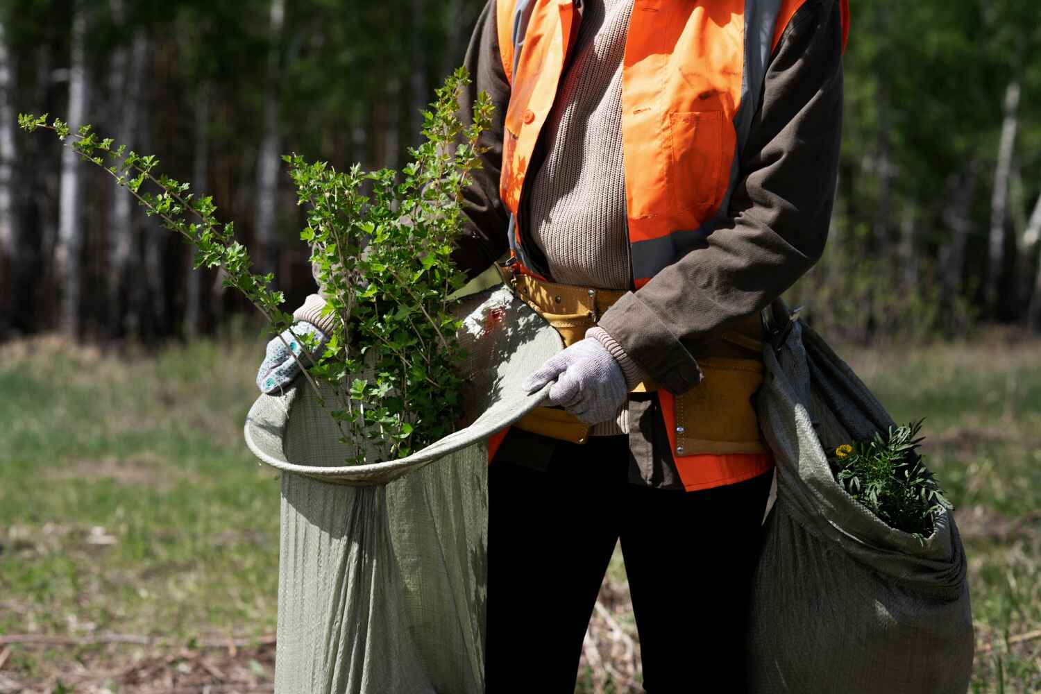 Best Tree Stump Removal  in Redington Shores, FL